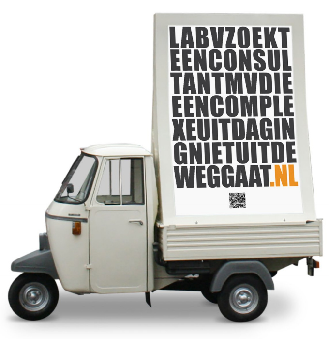LABVZOEKTEENCONSULTANTDIEENCOMPLEXEUITDAGINGNIETUITDEWEGGAAT.NL